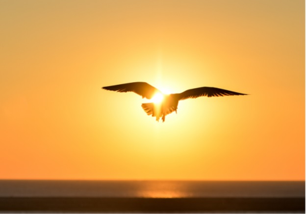 to the sun